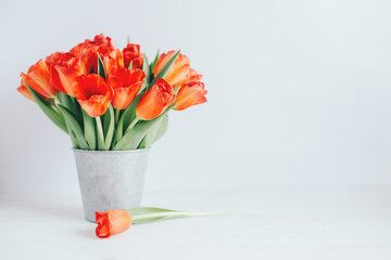 Romantic bouquet of bright red tulips in a vintage pot. Background or postcard.