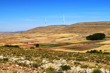 Hills with wind generators in an arid landscape of hay fields and some scattered trees in summer