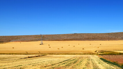 Obraz premium Farm fields in summer with hay bales and intense blue sky