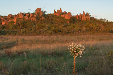 Parque Nacional da Chapada dos Veadeiros  no Mato Grosso. Bioma Cerrado, Brasil