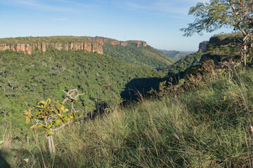 Parque Nacional da Chapada dos Guimarães, Mato Grosso, Brasil