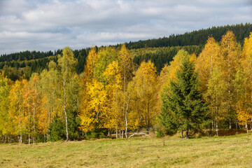 autumn in Sumava, Sumava National Park, Czechia