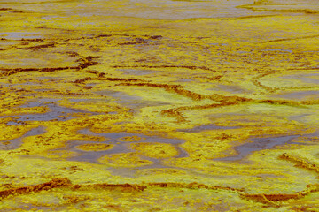 yellow and red stones in a volcanic crater that heat and boil from the heat