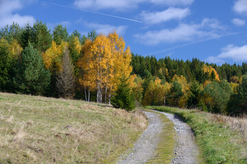 autumn in Sumava, Sumava National Park, Czechia