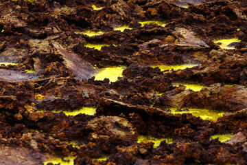 yellow and red stones in a volcanic crater that smokes and boils from the heat, they look like egg yolk with chocolate