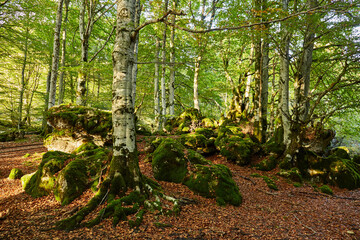 Otoño en Navarra 11