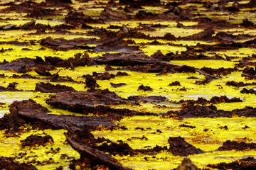 yellow and red stones in a volcanic crater that smokes and boils from the heat, they look like egg yolk with chocolate