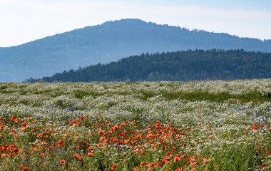 Czech landscape, Czech Republic