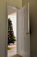door with christmas decoration
