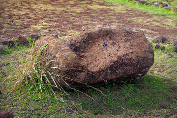 Fallen Moai head surrounded by a stone structure at the ceremonial center of Vaihu, on Easer Island.