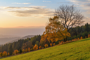 Fototapeta na wymiar autumn in Jesniky, Jeseniky, northern Moravia, Czechia