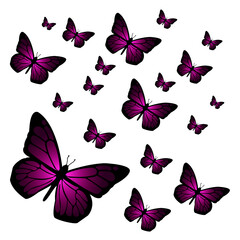 set of  violet butterflies
