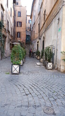 Fototapeta na wymiar typical narrow italian street in Trastevere with green plants and stone pavement, Rome, Italy, retro toned