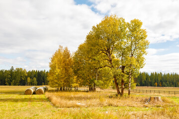 Fall foliage next to a farm field with hay bales coated with a slight covering of snow.