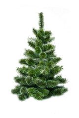 Christmas fir-tree isolated on white background
