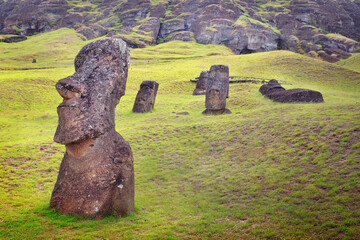 Moai on the slopes of the Rano Raraku Volcano, on Easer Island, surrounded by green vegetation.