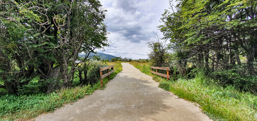 path in the park