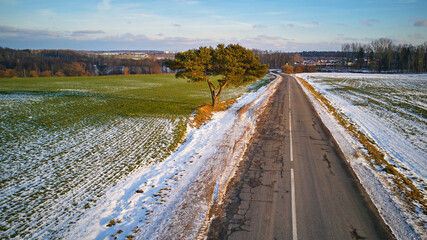Winter Agricultural field under snow. Countryside road Aerial view. Lone pine tree near driveway