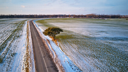 Countryside road Aerial view. Lone pine tree near driveway. December Rural landscape