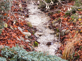 Autumn landscape with a flowing stream