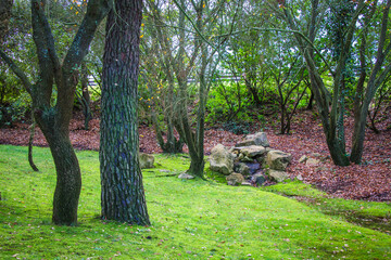 Beautiful city park in Constancia, Portugal. Butterfly park called borboletario, located in Portugal