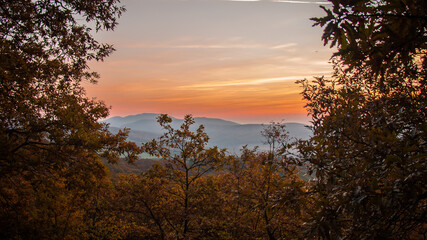 Central Europe, Slovak nature 