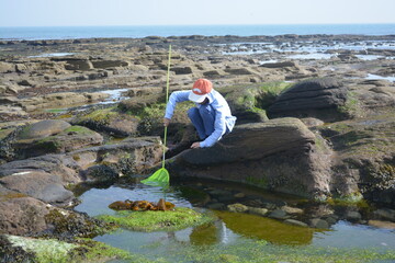 A photo of a boy fishing (crabbing) at the rocks of Northumberland shore at late Spring. 