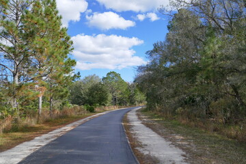 Landscape of Flatwood wild park in Tampa. Florida	