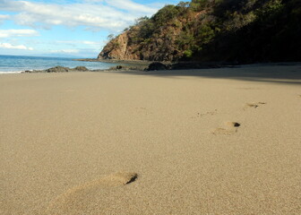 Costa Rica Pacific sea life