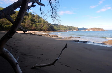 Costa Rica Pacific sea life