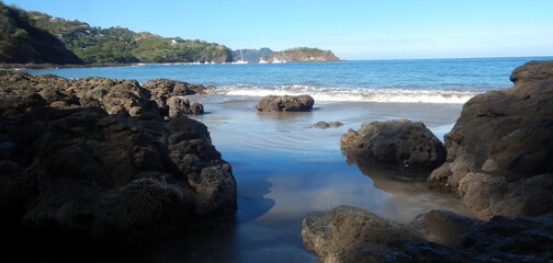 Costa Rica Pacific sea life