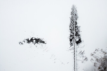 Winter landscape with forest river and snowy trees, aerial view