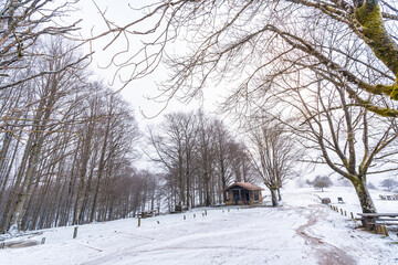 A refuge among trees on the ascent to Mount Aizkorri in Gipuzkoa. Snowy landscape by winter snows. Basque Country, Spain