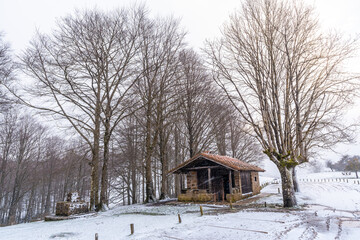 A refuge among trees on the ascent to Mount Aizkorri in Gipuzkoa. Snowy landscape by winter snows. Basque Country, Spain