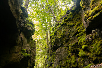 Green moss between rocky cliff in a forest