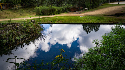 Reflejo en el Estanque, Oaxaca