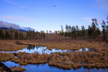 Marsh wet lands in Winter on a December afternoon