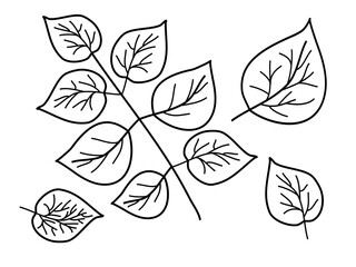 Branch with leaves, contours of black color on a white background for creativity and printing