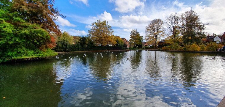 Autumn Reflections