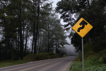 Bosque en la niebla.