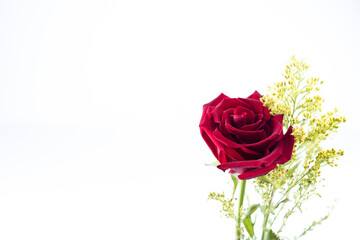 Celebración del día de san Valentín compartiendo una copa de vino y amor