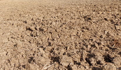 Dirt field texture for background use