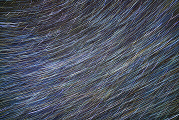 Abstract image of lines and dots in different shapes and patterns