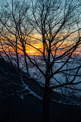 Tree without leaves covered with snow in a winter sunset, romantic scenery, but also of solitude and reflection