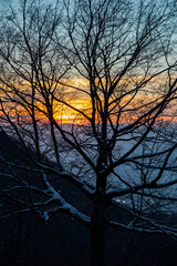 Tree without leaves covered with snow in a winter sunset, romantic scenery, but also of solitude and reflection