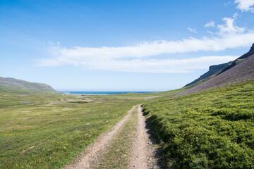 Fototapeta na wymiar The road towards Breidavik bay in Iceland