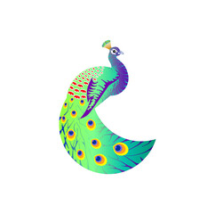 Fototapeta premium abstract peacock bird decorative vector art for brand and identity