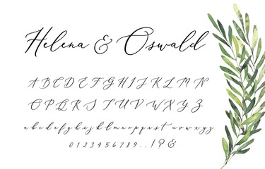 Script Brush Cursive Alphabet Vector Hand-drawn wedding Font