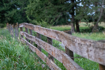 Fototapeta na wymiar Close up of old wooden fence in pasture