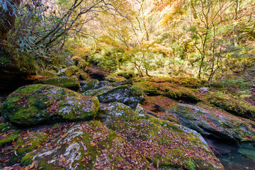 高知県は瀬戸川渓谷の紅葉